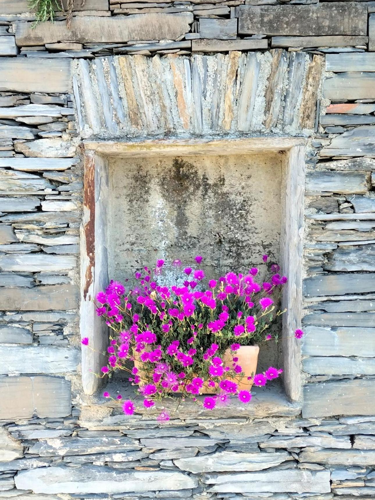 Ca' Da Tollo Hotel Cogorno Bagian luar foto